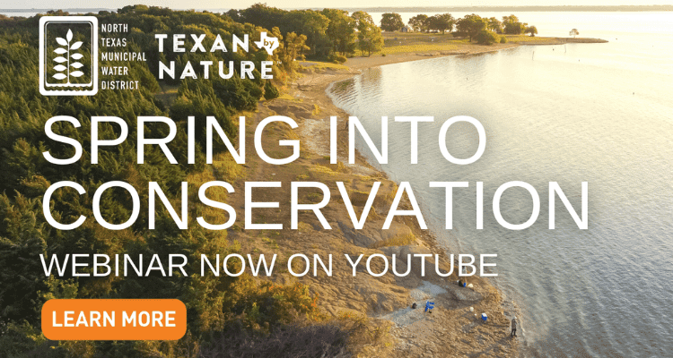 spring-into-conservation-header