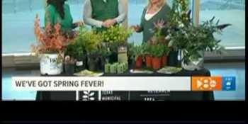 WFAA - 2019 March 16 - Spring Planting