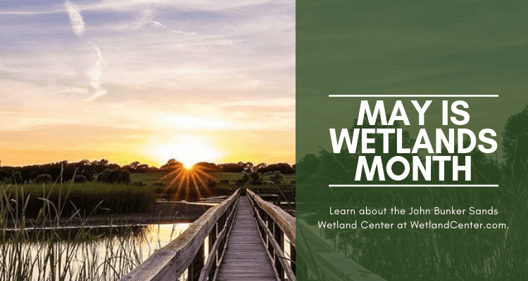website-blog-wetlands-month