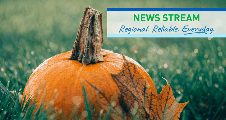 oct2020-blog-header